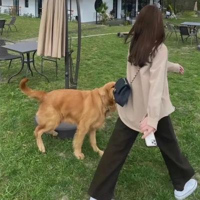 四个羁基的男人